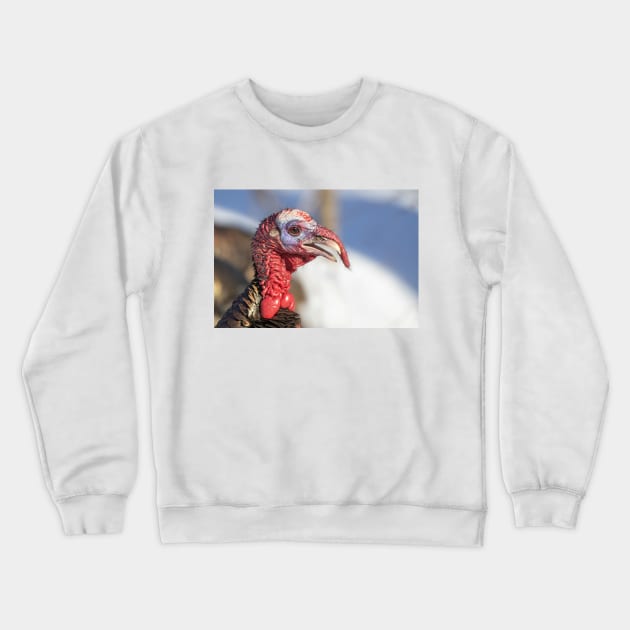 Wild Turkey Crewneck Sweatshirt by Jim Cumming